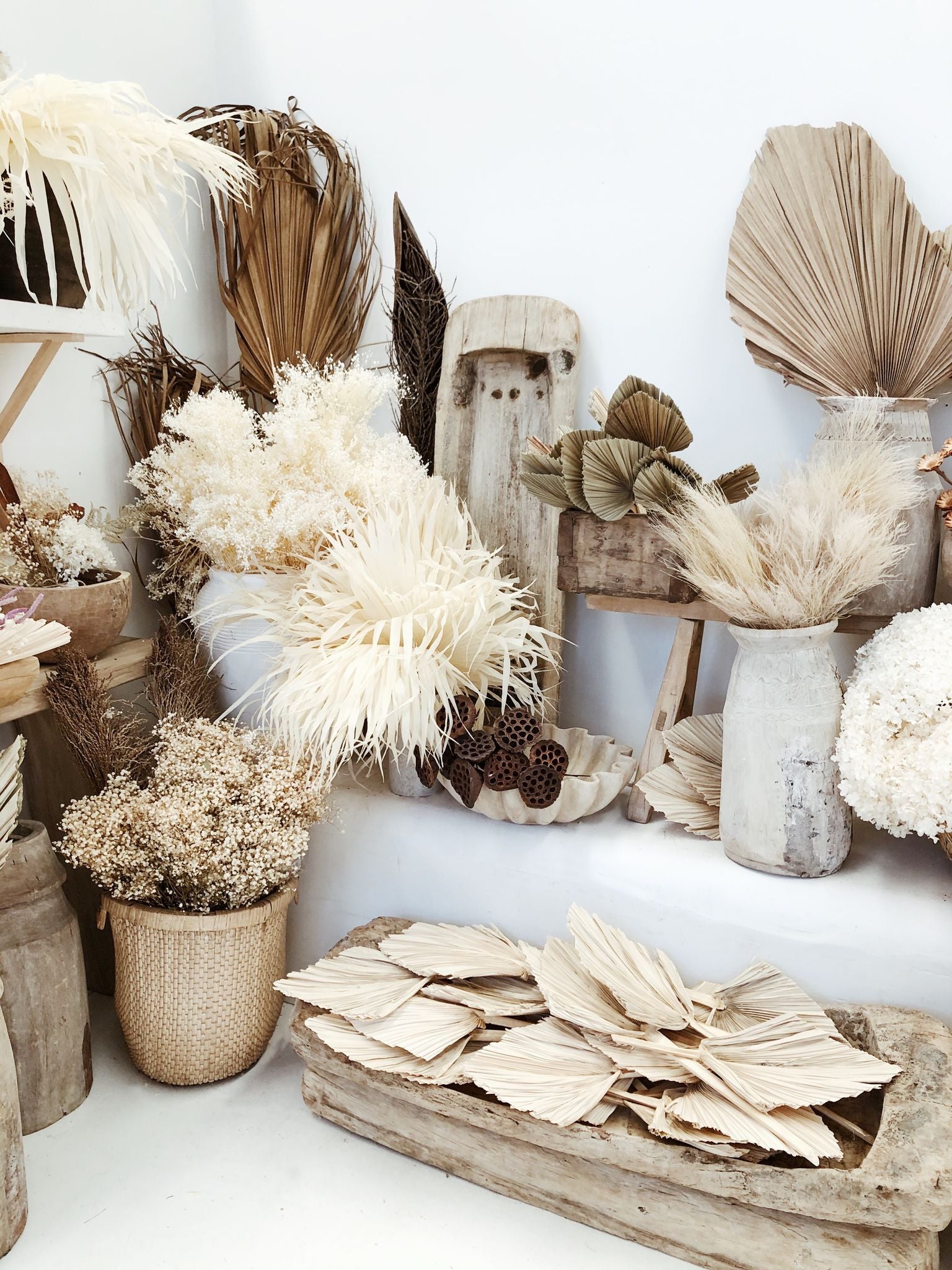 Discover Dried Flowers
